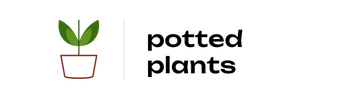 Untitled design (15)